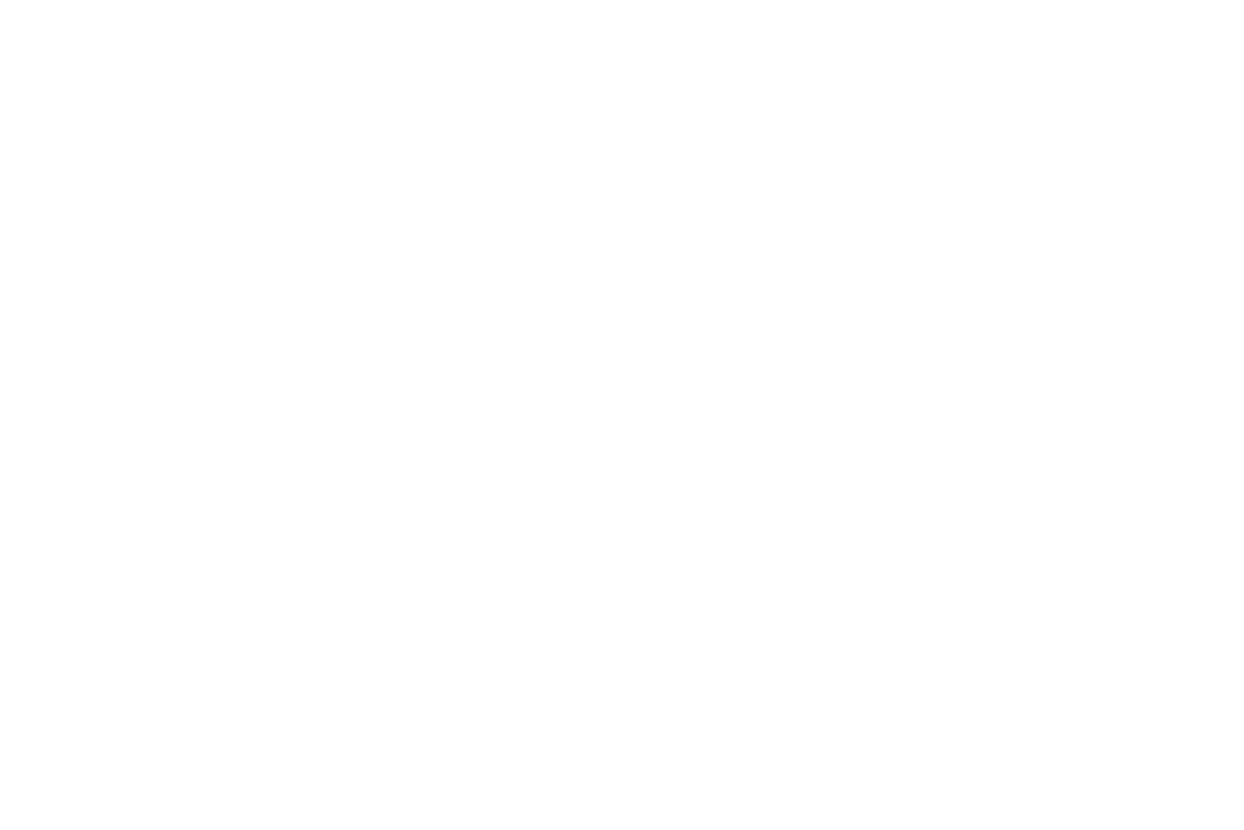 CSL Behring@2x